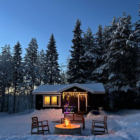 Gemuetliches Blockhaus Im Wald Villa Auktsjaur Exteriör bild
