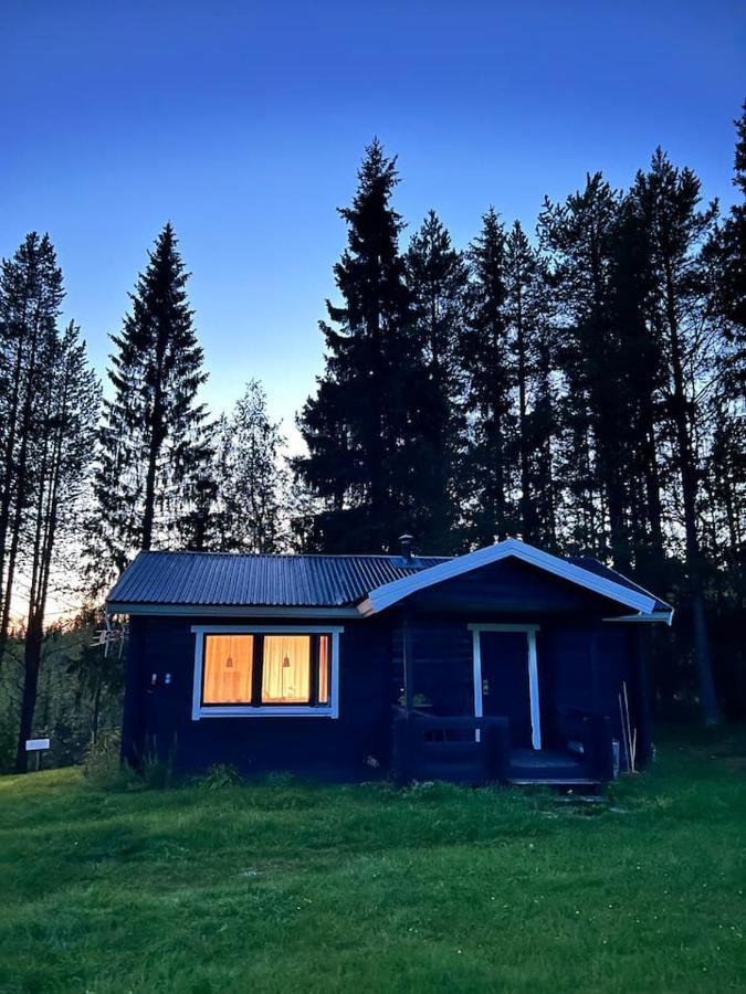 Gemuetliches Blockhaus Im Wald Villa Auktsjaur Exteriör bild