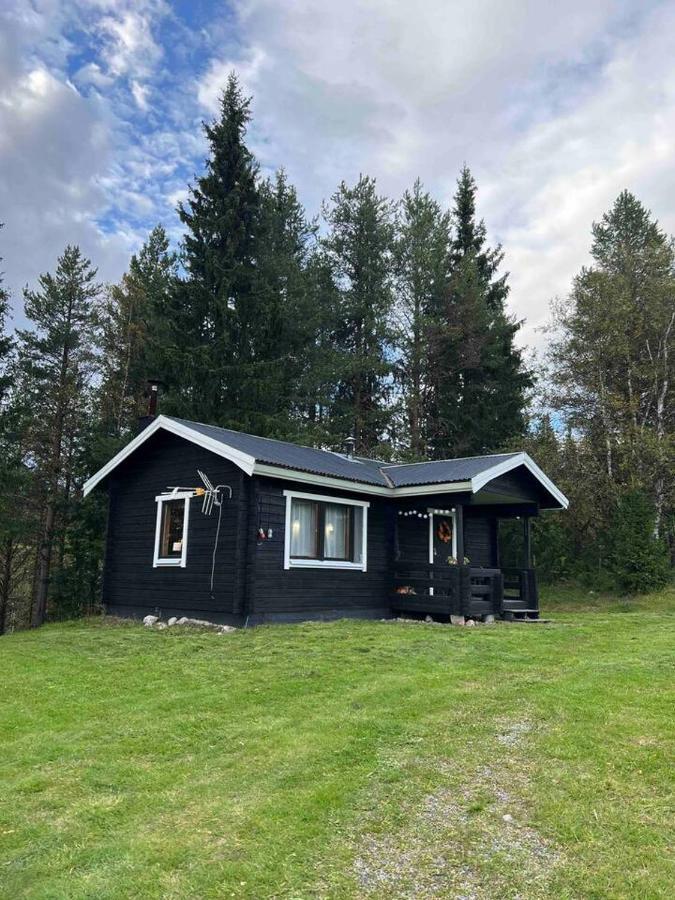 Gemuetliches Blockhaus Im Wald Villa Auktsjaur Exteriör bild